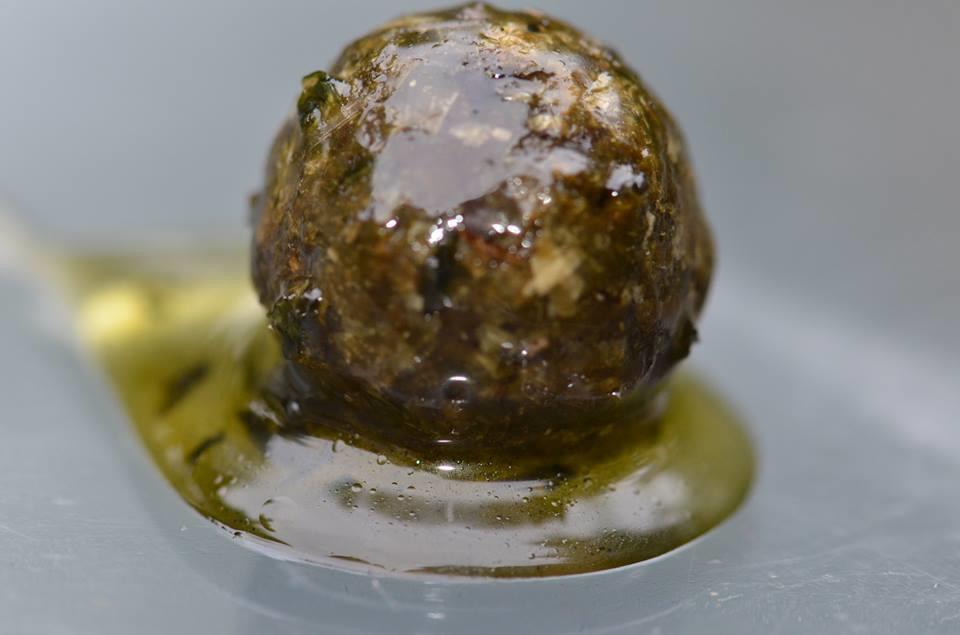 carp - 13749377286601104848361004339362n.jpg